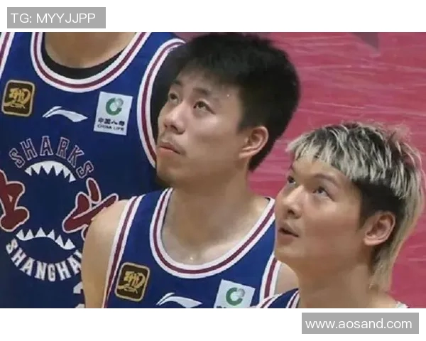 辽宁男篮今夏大变动弗格张镇麟加盟上海大韩宣布退役引发关注