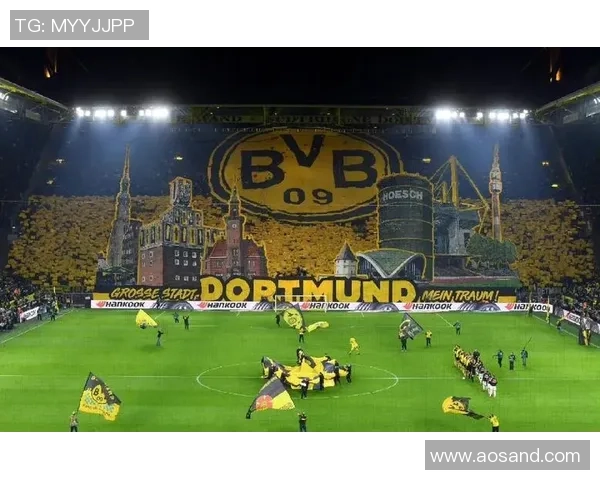 多特蒙德与沃尔夫斯堡争夺图卢兹后卫克雷斯维尔补强中卫阵容