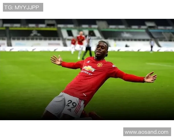 罗马俱乐部关注沙尔克年轻后卫梅尔特坎艾汉报价约800万欧元