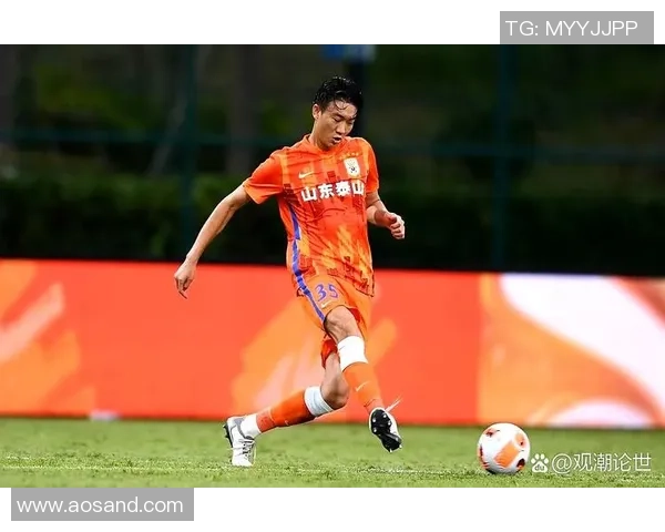 戴琳泰山十年收入超三千万再曝欠款不还引关注